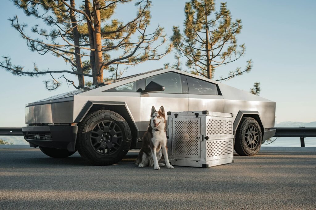 Top Raw Aluminum Dog Crates for Siberian Huskies: Perfect for Mountain Peaks and Tesla Cybertruck Expeditions