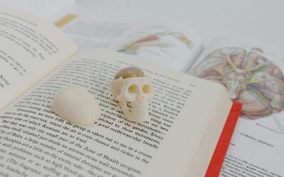 Skull and Bones Review: Is It Worth It?