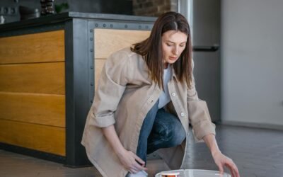 Top Kitchen Cleaner Gadgets of 2023