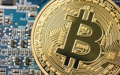 Pi Coin News: Latest on Pi Network