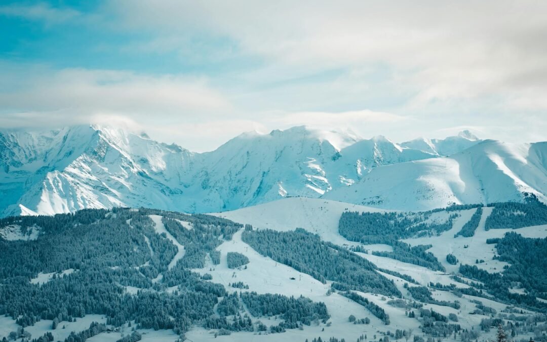 Comprehensive BC Game Review Reddit Insights