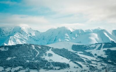 Comprehensive BC Game Review Reddit Insights