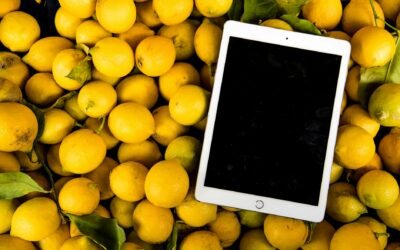 Top Zyliss Oil Mister Reviews for Your Kitchen Needs